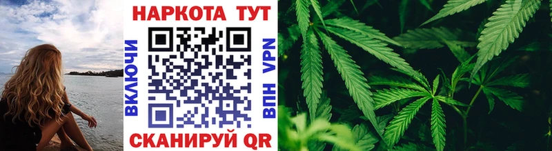Галлюциногенные грибы Пятигорск