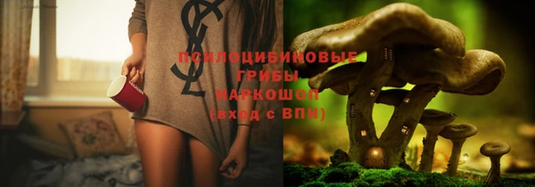 молекула духа Верхний Тагил