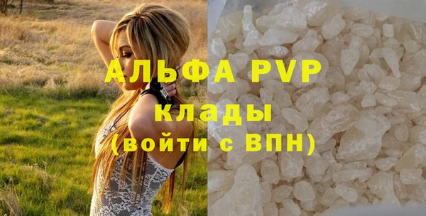 молекула духа Верхний Тагил