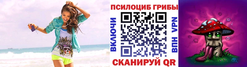 Псилоцибиновые грибы мухоморы  купить   OMG как войти  Пятигорск 